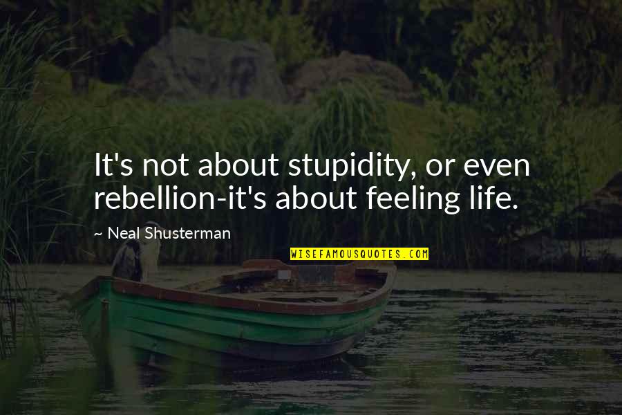 Spirit Of Tasmania Quotes By Neal Shusterman: It's not about stupidity, or even rebellion-it's about