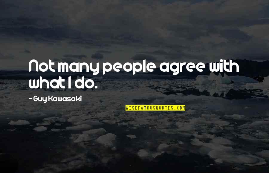 Spiritual Bond Quotes By Guy Kawasaki: Not many people agree with what I do.