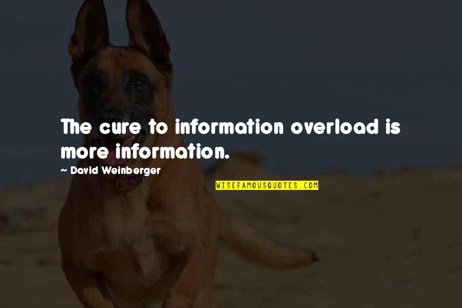 Spiritual Clutter Quotes By David Weinberger: The cure to information overload is more information.