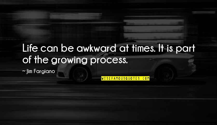 Spiritual Guidance Quotes By Jim Fargiano: Life can be awkward at times. It is