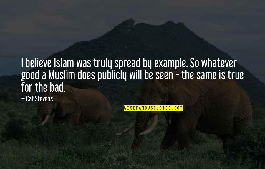 Spiritual Refreshment Quotes By Cat Stevens: I believe Islam was truly spread by example.
