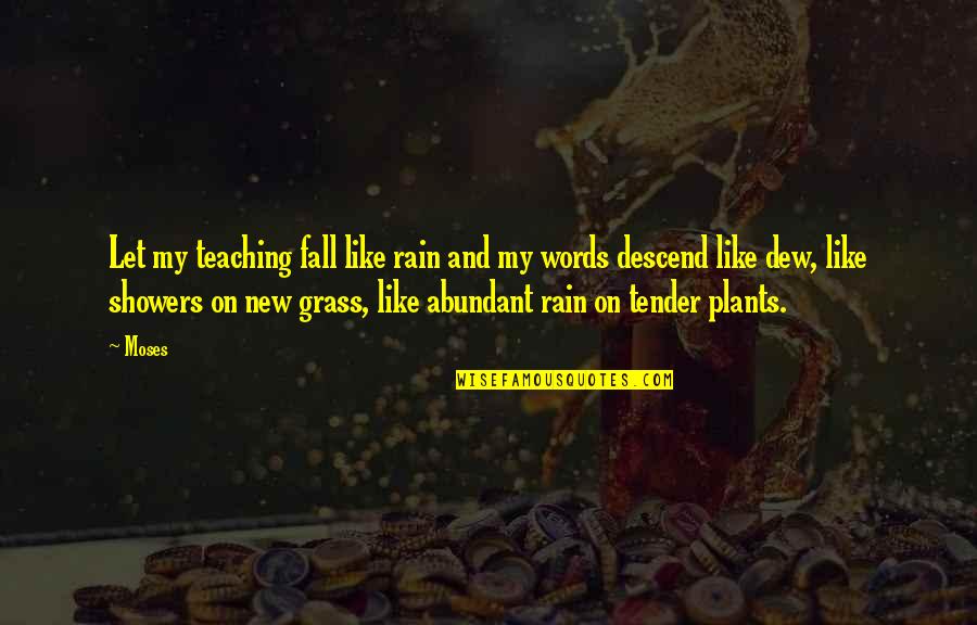 Spiritual Solutions Quotes By Moses: Let my teaching fall like rain and my Spiritual Solutions Quotes By Moses: Let my teaching fall like rain and my