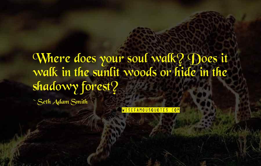 Spiritual Soul Searching Quotes By Seth Adam Smith: Where does your soul walk? Does it walk