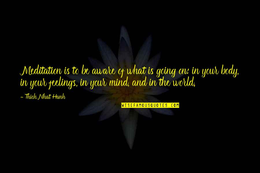 Spirituality Feelings Quotes By Thich Nhat Hanh: Meditation is to be aware of what is