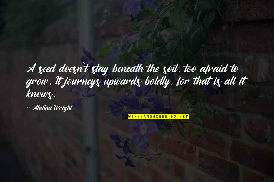 Spirituality Growth Quotes By Atalina Wright: A seed doesn't stay beneath the soil, too