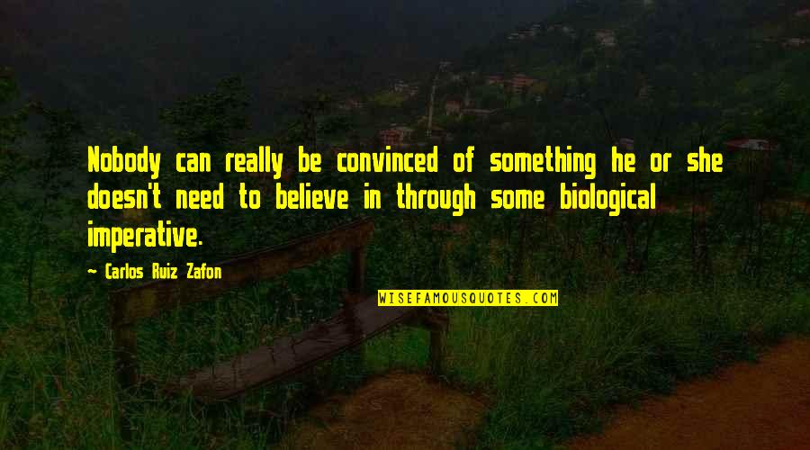 Spirituality In Art Quotes By Carlos Ruiz Zafon: Nobody can really be convinced of something he