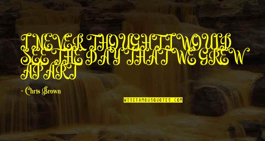 Spirutual Quotes By Chris Brown: I NEVER THOUGHT I WOULD SEE THE DAY Spirutual Quotes By Chris Brown: I NEVER THOUGHT I WOULD SEE THE DAY