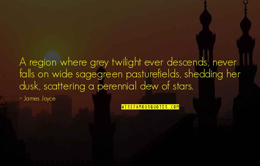 Spirytus Duch Quotes By James Joyce: A region where grey twilight ever descends, never Spirytus Duch Quotes By James Joyce: A region where grey twilight ever descends, never