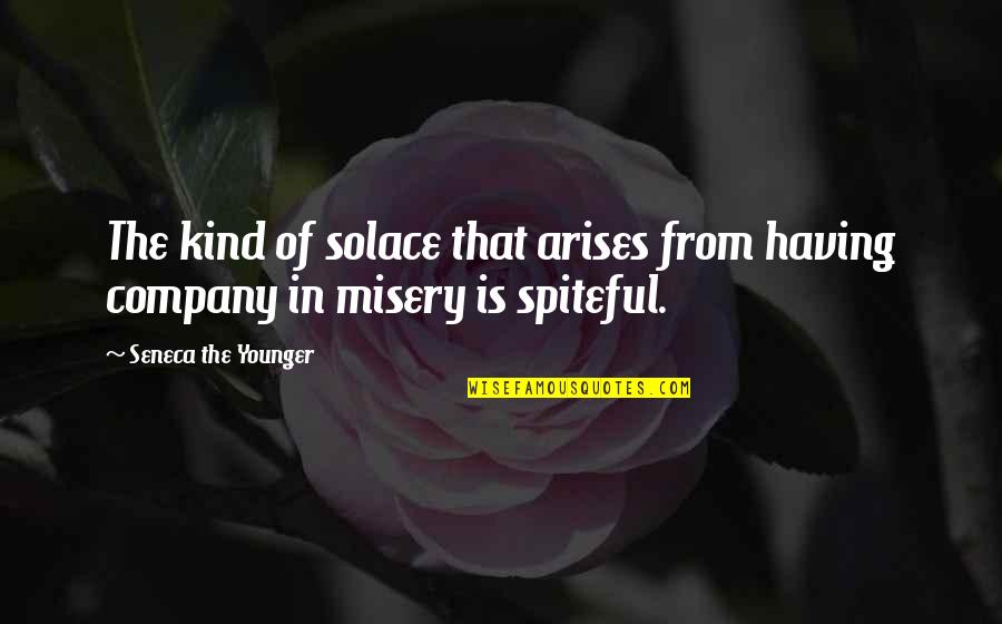 Spiteful Ex Quotes By Seneca The Younger: The kind of solace that arises from having