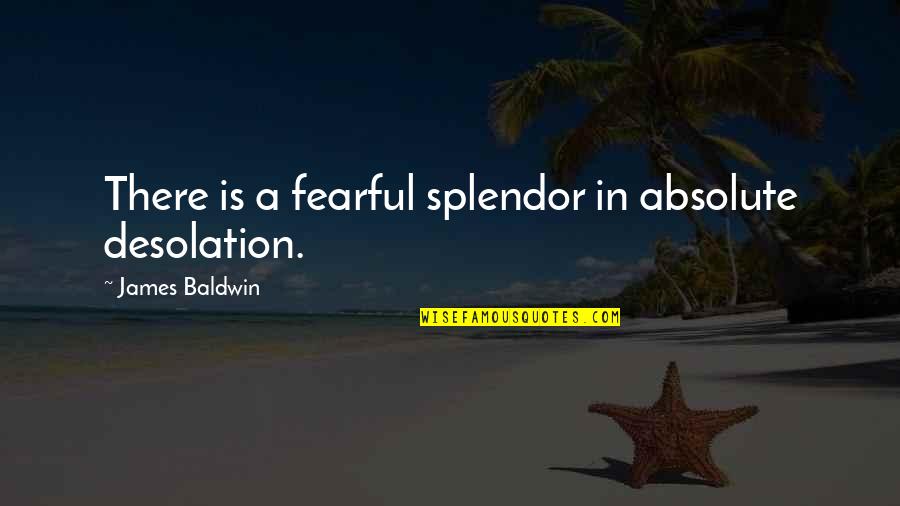 Splendor Quotes By James Baldwin: There is a fearful splendor in absolute desolation.