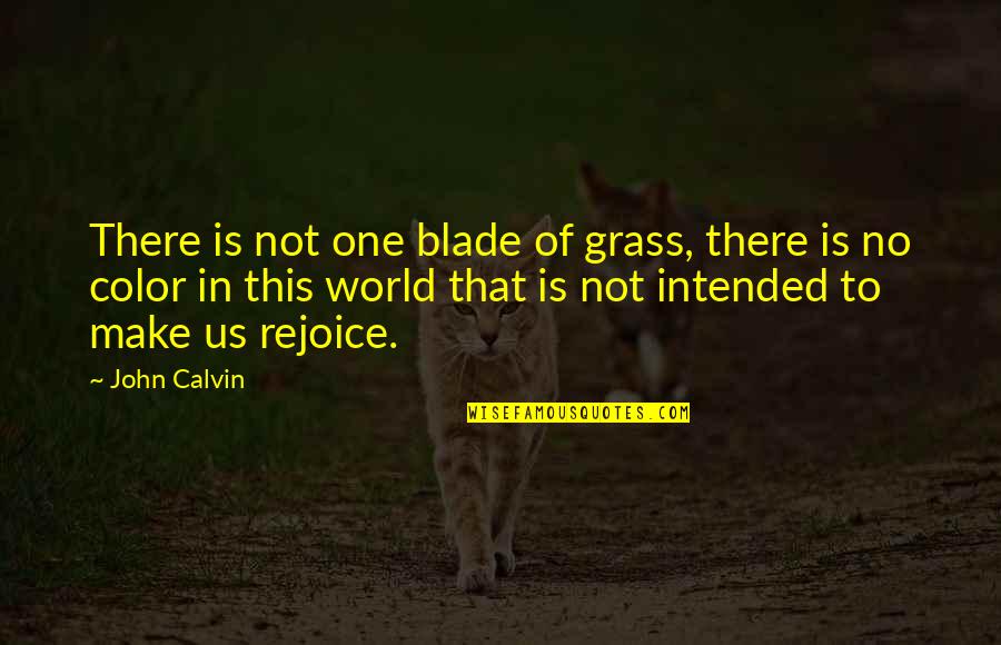 Splendor Quotes By John Calvin: There is not one blade of grass, there