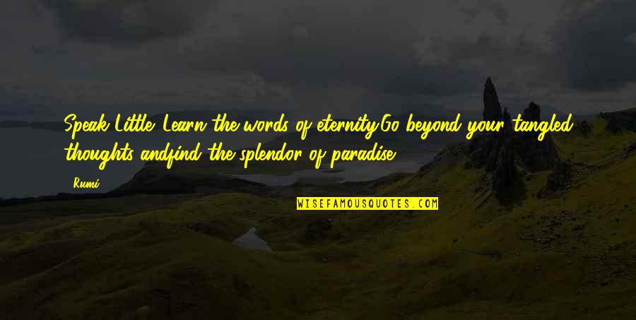 Splendor Quotes By Rumi: Speak Little. Learn the words of eternity.Go beyond
