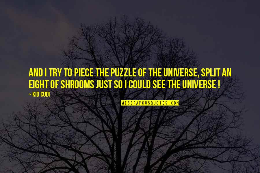 Split Quotes By Kid Cudi: And I try to piece the puzzle of