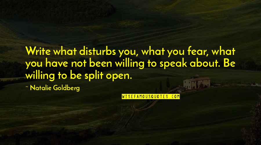 Split Quotes By Natalie Goldberg: Write what disturbs you, what you fear, what