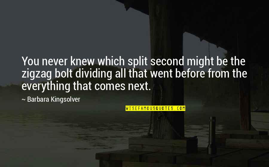 Splits Quotes By Barbara Kingsolver: You never knew which split second might be Splits Quotes By Barbara Kingsolver: You never knew which split second might be