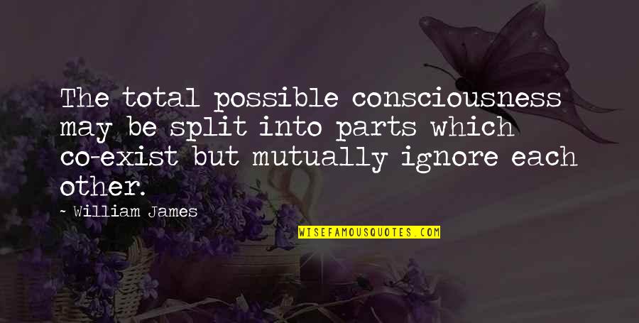 Splits Quotes By William James: The total possible consciousness may be split into Splits Quotes By William James: The total possible consciousness may be split into