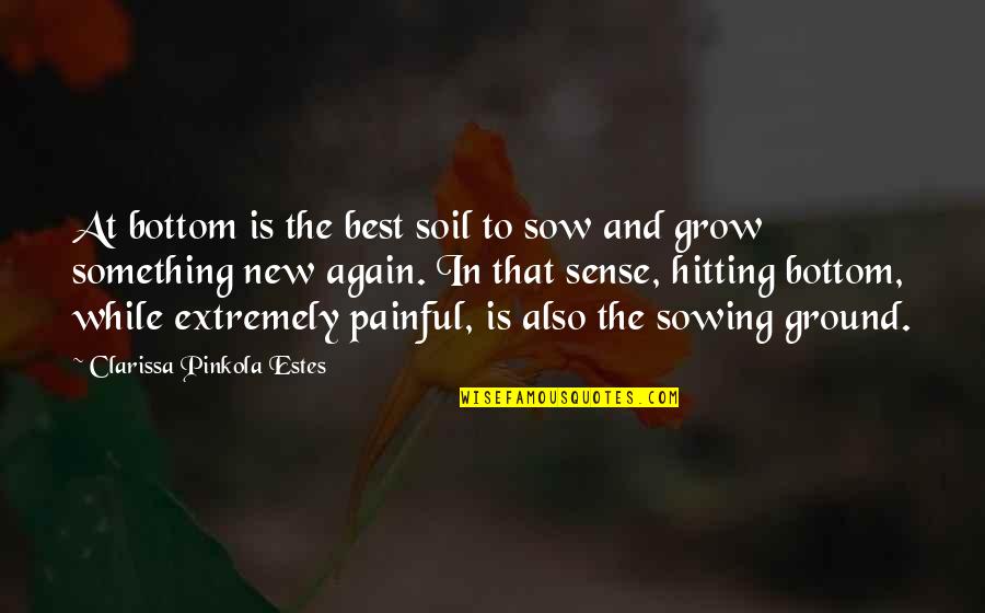 Splodgenessabounds Quotes By Clarissa Pinkola Estes: At bottom is the best soil to sow Splodgenessabounds Quotes By Clarissa Pinkola Estes: At bottom is the best soil to sow
