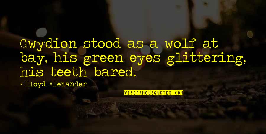 Splunk Key Value Quotes By Lloyd Alexander: Gwydion stood as a wolf at bay, his