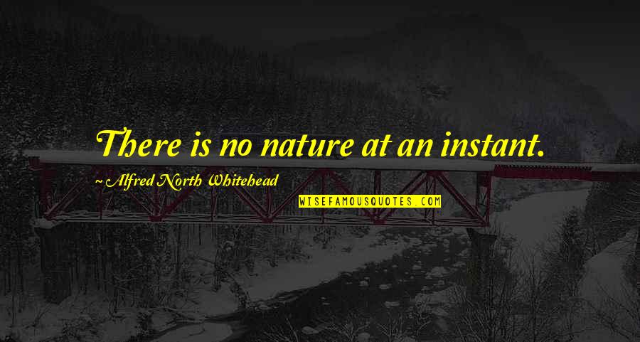 Spohnholz Quotes By Alfred North Whitehead: There is no nature at an instant.