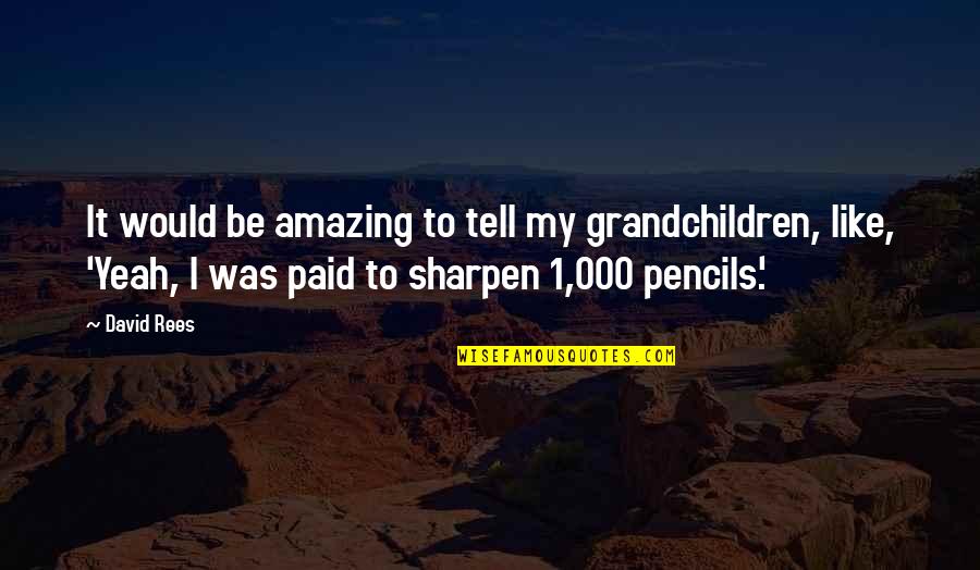 Spoil Me With Loyalty I Can Finance Myself Quotes By David Rees: It would be amazing to tell my grandchildren,