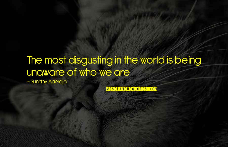 Spokojnost Quotes By Sunday Adelaja: The most disgusting in the world is being
