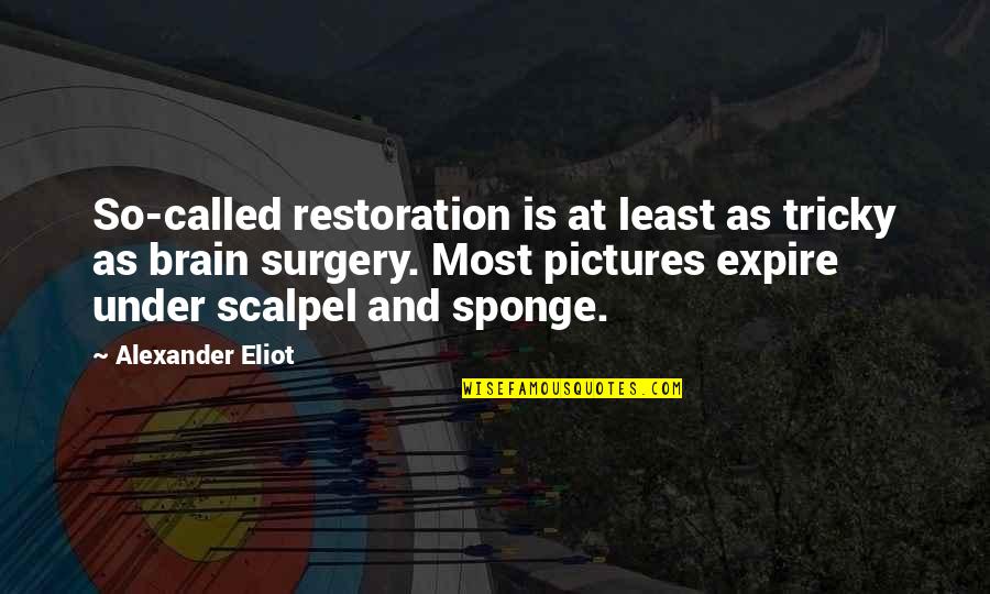 Sponge Quotes By Alexander Eliot: So-called restoration is at least as tricky as