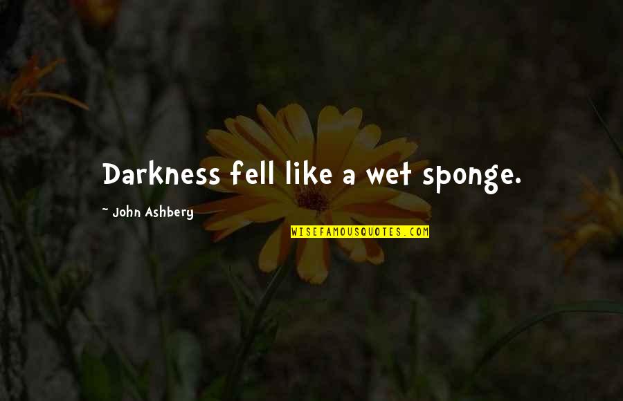 Sponge Quotes By John Ashbery: Darkness fell like a wet sponge.