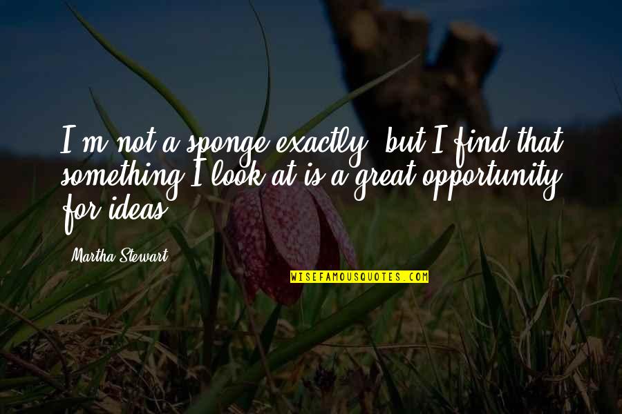 Sponge Quotes By Martha Stewart: I'm not a sponge exactly, but I find