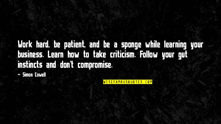 Sponge Quotes By Simon Cowell: Work hard, be patient, and be a sponge