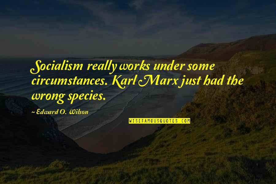 Spongebob Strike Quotes By Edward O. Wilson: Socialism really works under some circumstances. Karl Marx