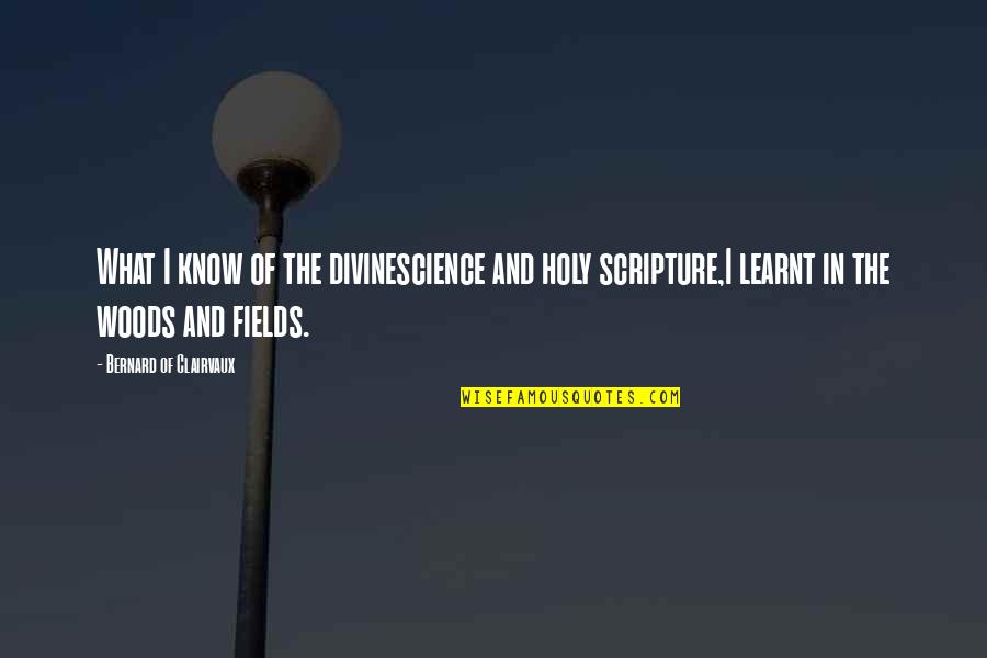 Sponsorships Available Quotes By Bernard Of Clairvaux: What I know of the divinescience and holy Sponsorships Available Quotes By Bernard Of Clairvaux: What I know of the divinescience and holy