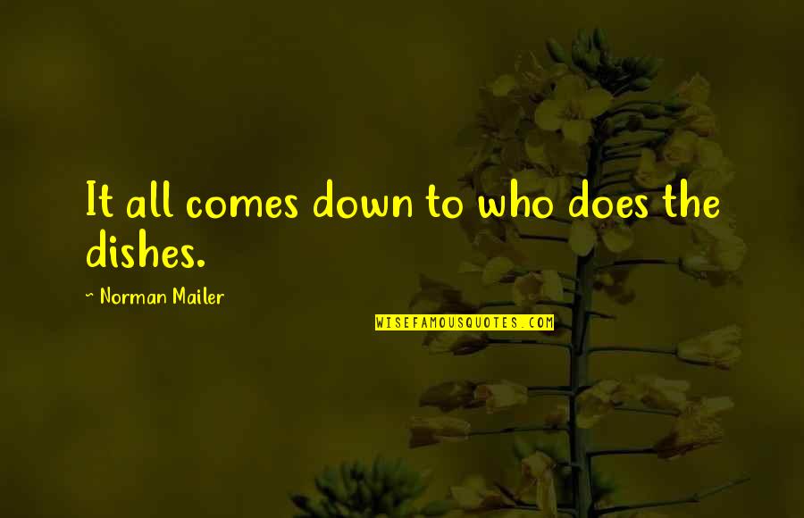 Spoonbills Quotes By Norman Mailer: It all comes down to who does the
