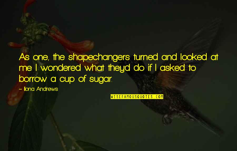 Spoonfeed Quotes By Ilona Andrews: As one, the shapechangers turned and looked at