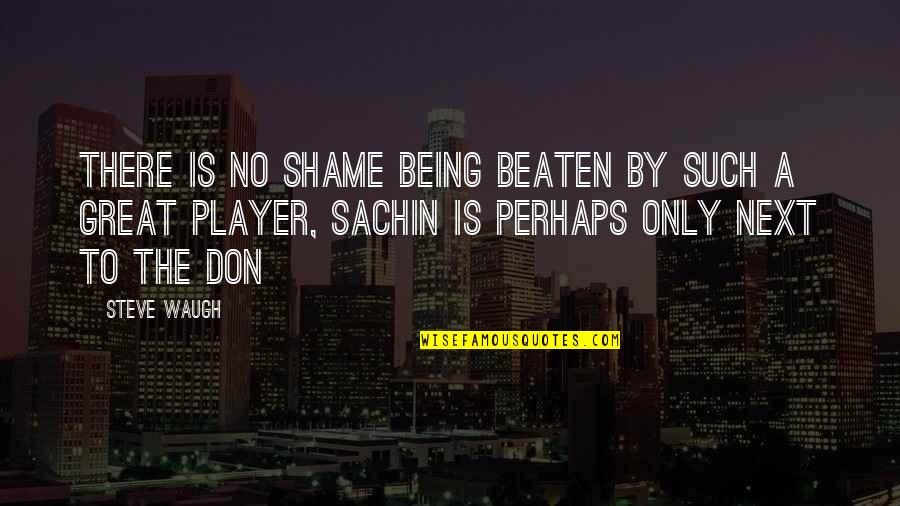 Sportfreunde Stiller Quotes By Steve Waugh: There is no shame being beaten by such