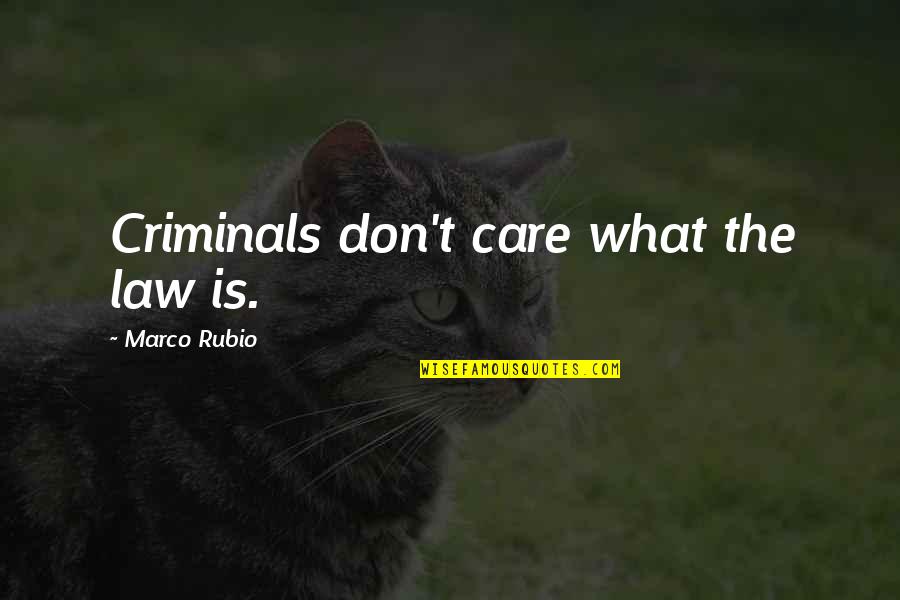 Sporto Breakfast Club Quotes By Marco Rubio: Criminals don't care what the law is.