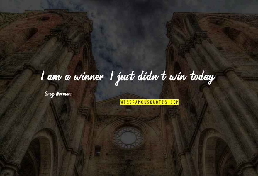 Sports Motivation Quotes By Greg Norman: I am a winner. I just didn't win