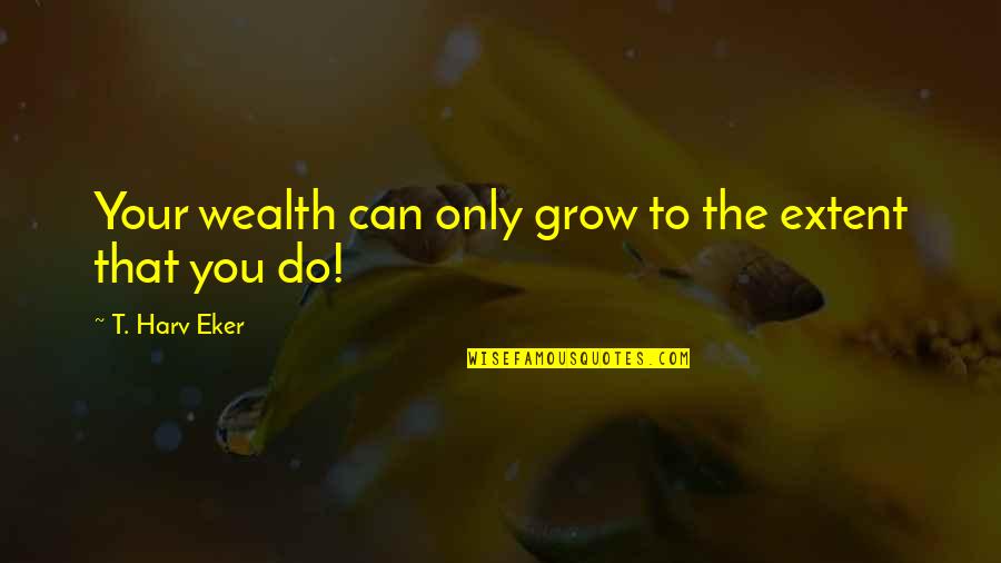 Sportster Seats Quotes By T. Harv Eker: Your wealth can only grow to the extent Sportster Seats Quotes By T. Harv Eker: Your wealth can only grow to the extent