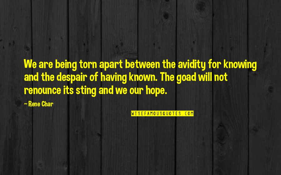 Spot And Arlo Quotes By Rene Char: We are being torn apart between the avidity Spot And Arlo Quotes By Rene Char: We are being torn apart between the avidity