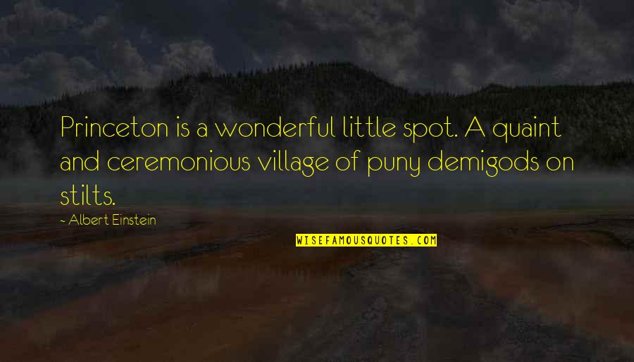 Spot On Quotes By Albert Einstein: Princeton is a wonderful little spot. A quaint