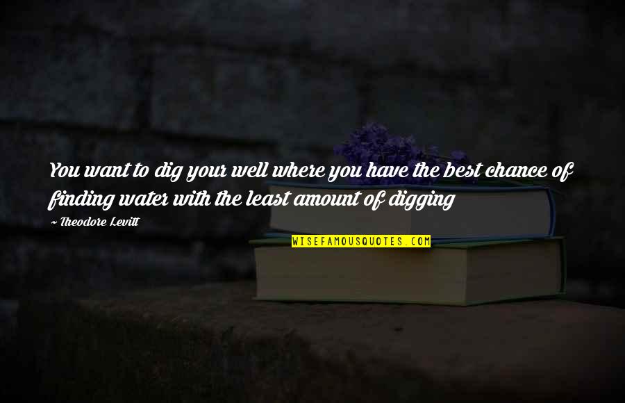 Spouse Quotes Quotes By Theodore Levitt: You want to dig your well where you