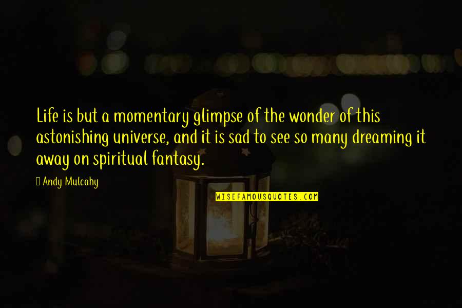 Sppedy Quotes By Andy Mulcahy: Life is but a momentary glimpse of the