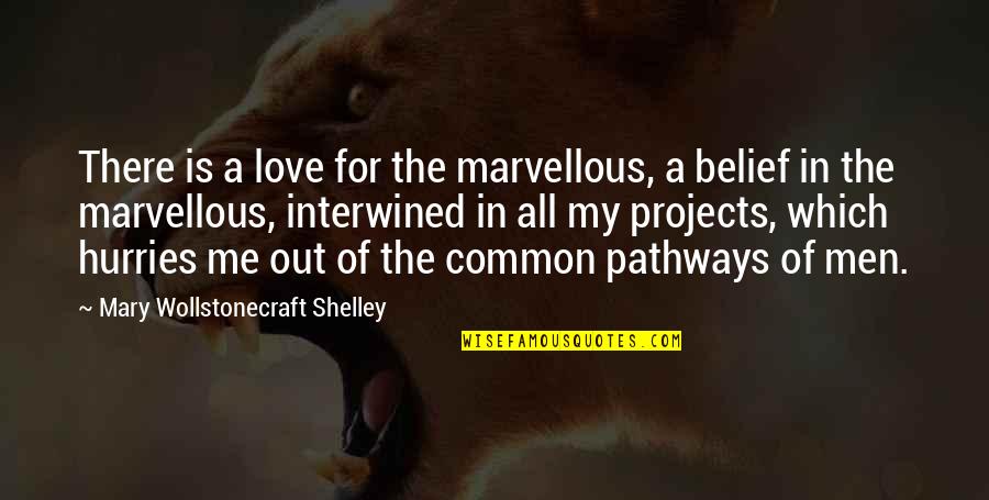 Sppedy Quotes By Mary Wollstonecraft Shelley: There is a love for the marvellous, a