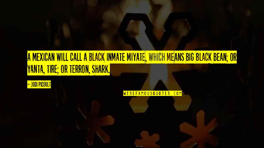 Spradlin Realty Quotes By Jodi Picoult: A Mexican will call a black inmate miyate,