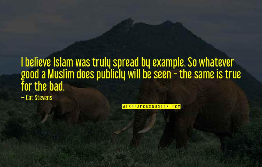 Spread Islam Quotes By Cat Stevens: I believe Islam was truly spread by example.