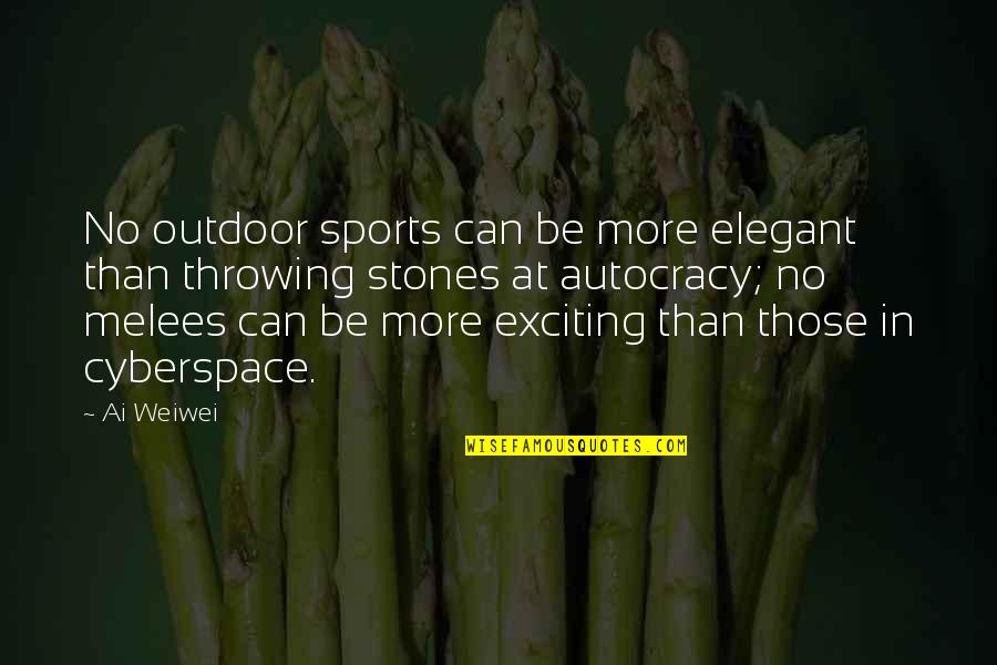 Spreading Kindness Quotes By Ai Weiwei: No outdoor sports can be more elegant than