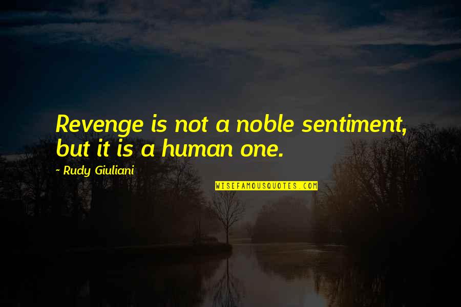 Sprecavanje Ili Sprjecavanje Quotes By Rudy Giuliani: Revenge is not a noble sentiment, but it