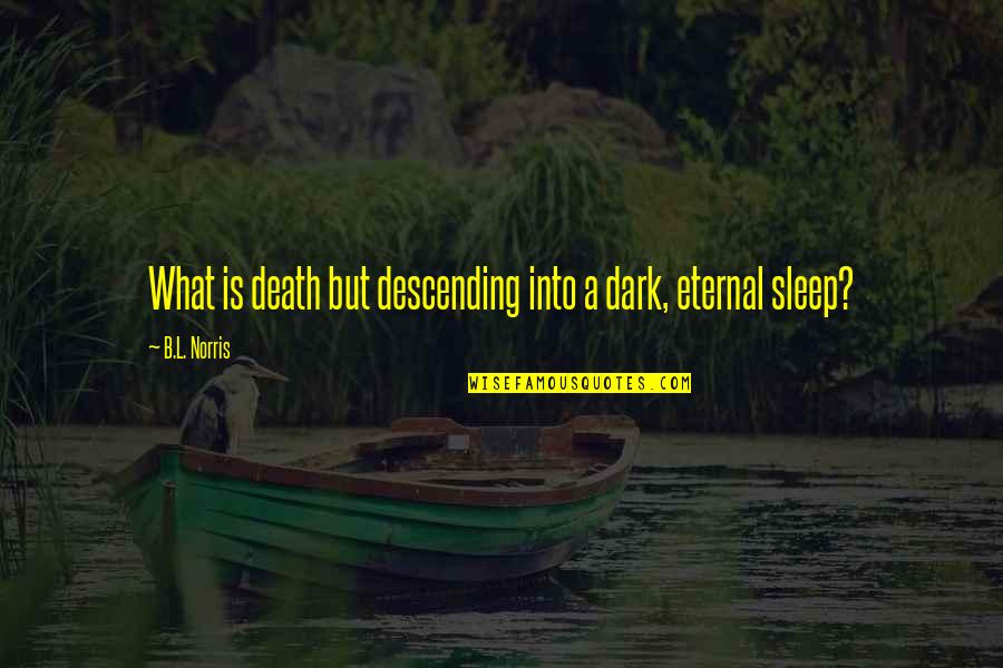 Spreeuwen Vangen Quotes By B.L. Norris: What is death but descending into a dark, Spreeuwen Vangen Quotes By B.L. Norris: What is death but descending into a dark,