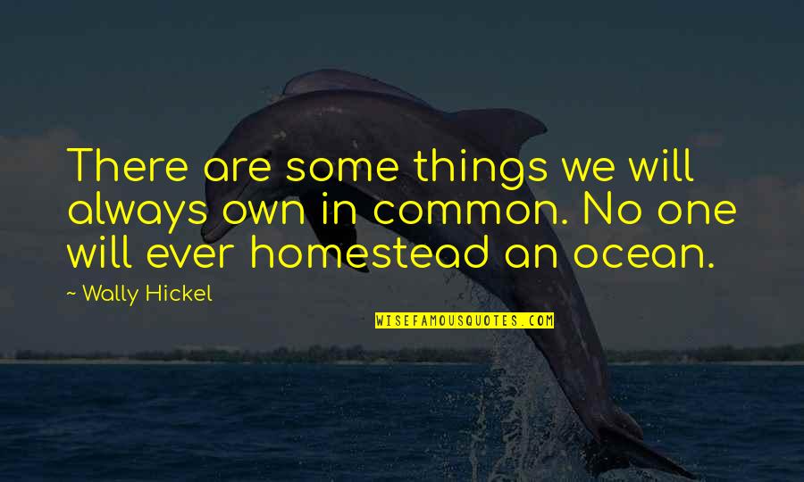 Spricht Man Quotes By Wally Hickel: There are some things we will always own