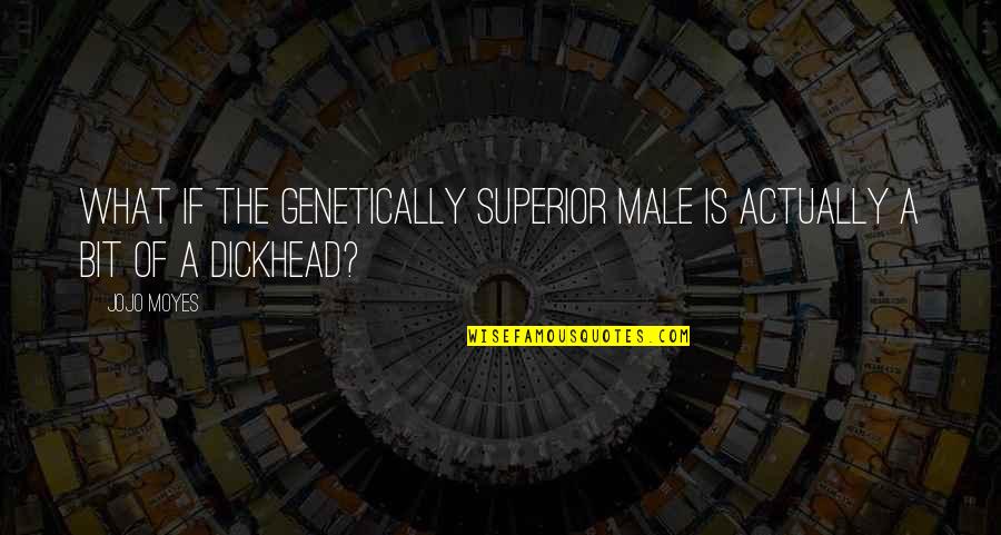 Sprichwort Ueber Quotes By Jojo Moyes: What if the genetically superior male is actually