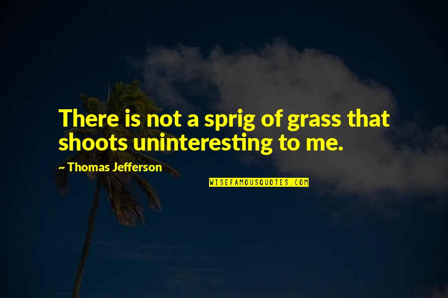Sprig Quotes By Thomas Jefferson: There is not a sprig of grass that